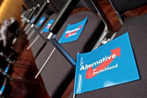 AfD soll keine Ausschüsse leiten – sagen 75 Prozent der Unions-Wähler