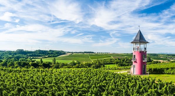 Wandern in Rheinhessen: 5 tolle Wanderwege von Hügel zu Hügel