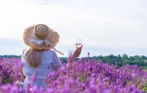 Der Duft des Sommers: Die schönsten Lavendelfeste in Frankreich