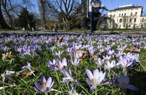 Wetter am Samstag, 22.03.2025: Aktuelle Wettervorhersage und Trends der nächsten Tage