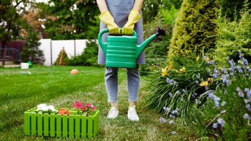 Gartenmythen im Faktencheck: Was wirklich gegen Schnecken & Co. hilft