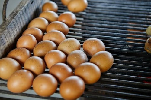 Darf man an Karfreitag grillen? Dos und Don'ts an den Oster-Feiertagen