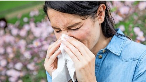 Pollenflug im März 2025: Diese Pollen fliegen jetzt besonders stark