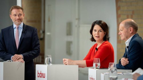 Naturschutzbund: Bündnis von Grünen und FDP kann Innovationsmotor sein