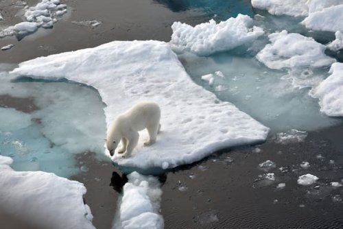 Klimawandel: Eisdecke der Arktis so klein wie nie zuvor