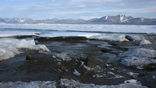 Vermeintlich „nördlichste Insel der Welt“ ist in Wirklichkeit Eisberg