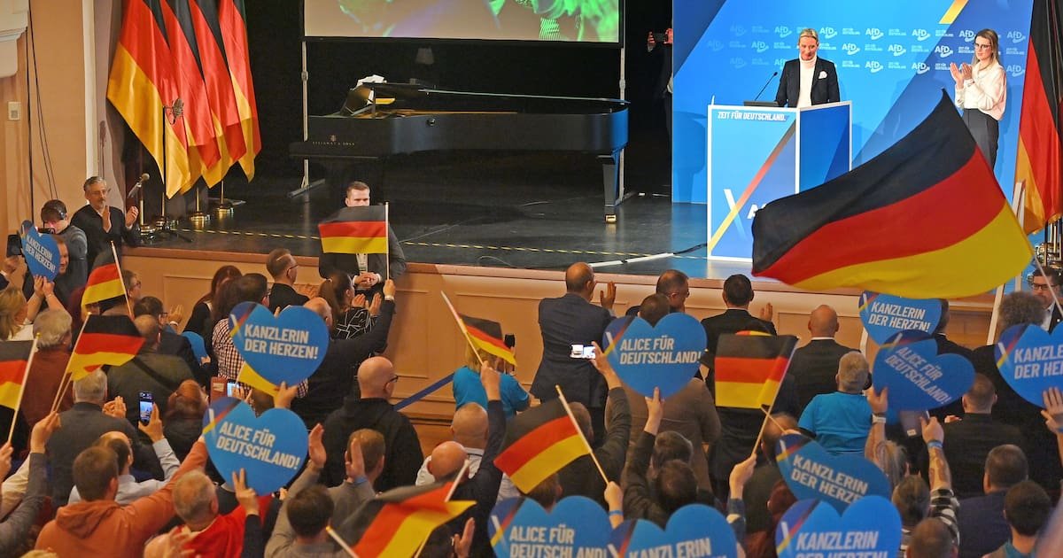 AfD-Wähler sind überwiegend männlich – und haben selten hohes Bildungsniveau