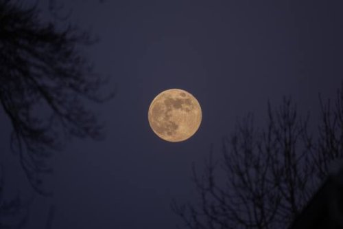 Wann ist Vollmond? Alle Termine 2025 – auch für Neumond