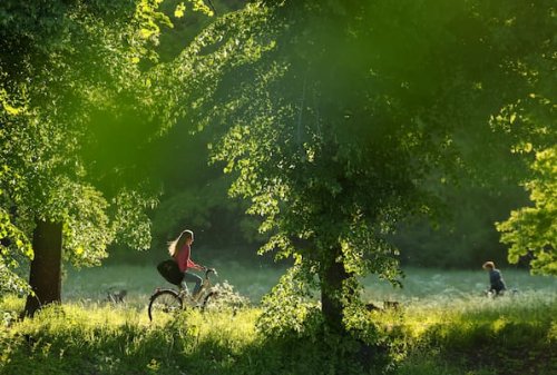 Wetter heute (22.5.2025): Aktuelle Wettervorhersage und Trends der nächsten Tage