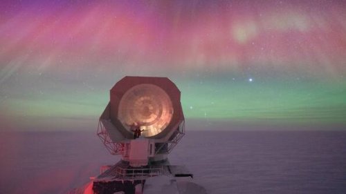 Polarlichter und der Atem von Walen im Nacken – „Nature“ kürt spektakuläre Forscherfotos