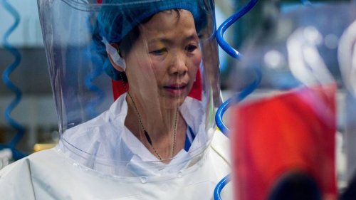Ein Albtraum namens Wuhan: erst Panne, dann Pandemie?
