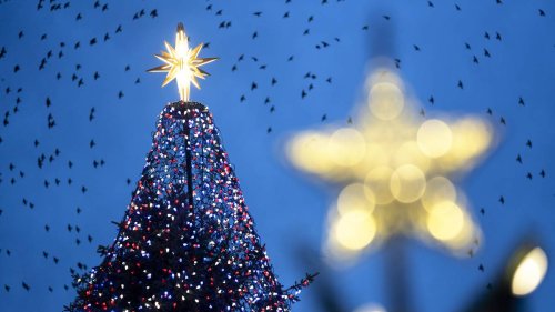 Eisiger Wind weht nationalen Weihnachtsbaum in Washington um