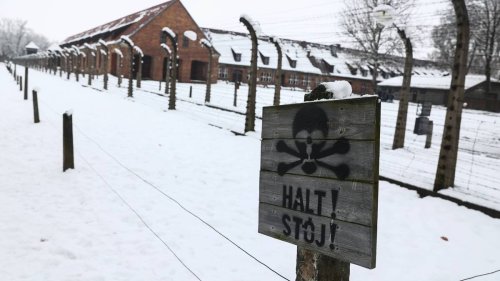 Alte und neue Blicke auf Auschwitz