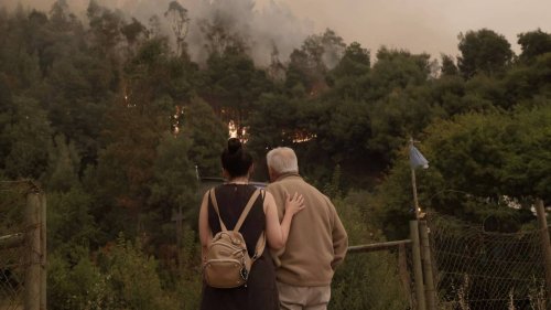 Mindestens 23 Tote bei verheerenden Waldbränden in Chile - sieben Festnahmen
