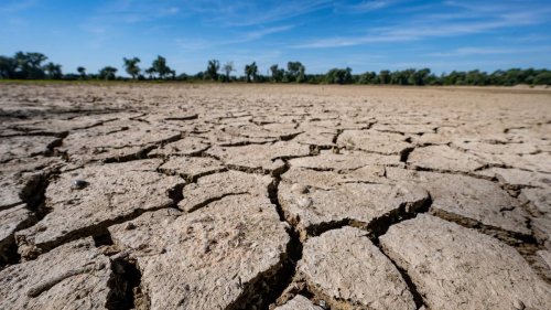Verteilungskämpfe ums Wasser drohen: Die Staatengemeinschaft muss jetzt gegensteuern