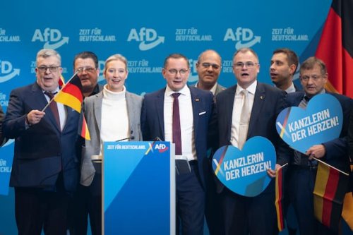 AfD überweist vorsorglich 2,35 Millionen an Bundeskasse