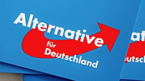 Fünf Gründe für die Rekordwerte der AfD