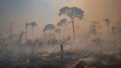 Brasiliens Amazonasgebiet verzeichnete im Juni die schlimmsten Brände seit 15 Jahren