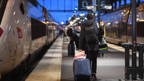 Nachtzug nach Nizza rast in Kuhherde – Reisende sitzen neun Stunden lang im Zug fest