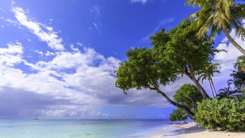 Für jeden Geschmack: Welche Karibikinsel passt zu dir?