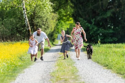Deutschland entdecken: Diese Naturausflüge lohnen sich für Familien und Freunde