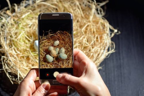 „Frohe Ostern!“ – Die schönsten Ostergrüße 2025 zum Verschicken auf Whatsapp