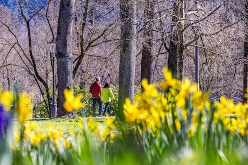 Wetter: Kalendarischer Frühling beginnt ungewöhnlich warm