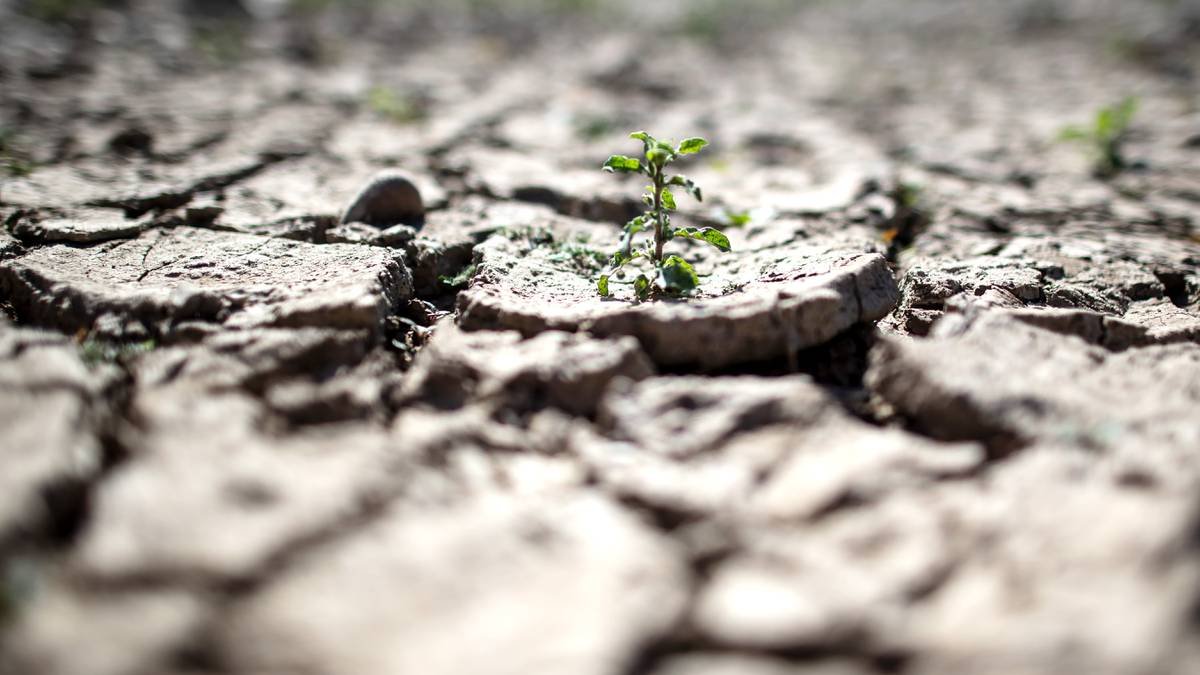 Klimaschutz nach Corona: Was die Krise für den Kampf gegen den Klimawandel bedeutet