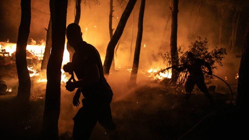 Hilflos in der Feuerhölle: Wie Griechenland den verheerenden Waldbrand von Mati aufarbeitet