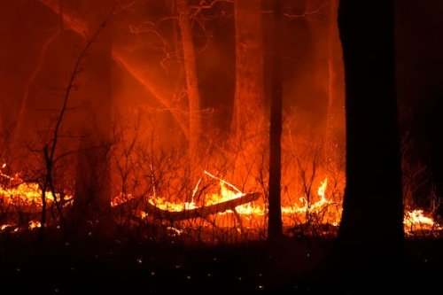Waldbrand in New Jersey: Tausende fliehen – Ursache noch unklar