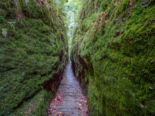 Drachenschlucht: Wanderwege, Parkplätze und alle Infos zum Naturwunder