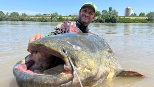 Italienischer Angler zieht Rekord-Wels an Land