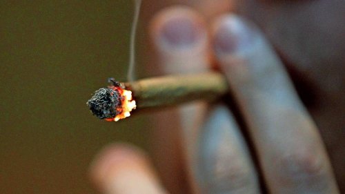 „Komplex und voller Fallstricke“: Drogenbeauftragter Blienert dämpft Erwartungen an rasche Cannabislegalisierung