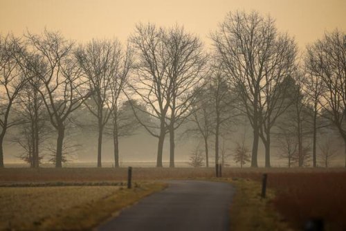 Frühling startet mit wechselhaftem Wetter und kühleren Temperaturen