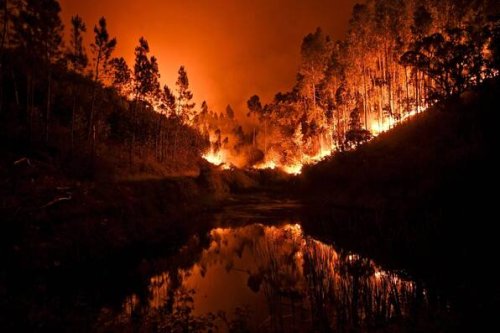 Waldbrände: An diesen Urlaubsorten ist die Gefahr besonders groß