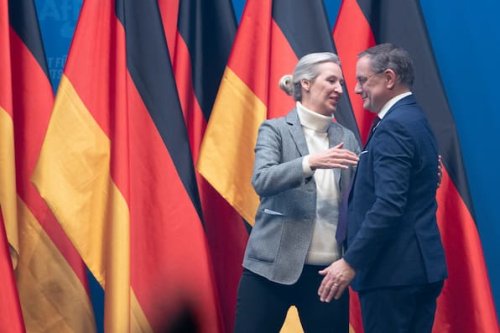 Was steht im AfD-Wahlprogramm? Zusammenfassung zur Bundestagswahl 2025