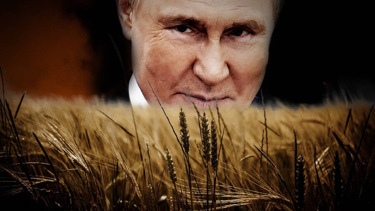 Putins Drehbuch: Weizenkrise, Hungerkrise, Flüchtlingskrise