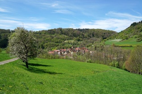 Frühling in Baden-Württemberg! Sonnige Ausflugstipps & Draußen-Erlebnisse