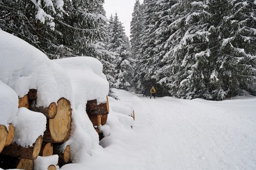 Winterurlaub in Südtirol: 7 Tipps für das Gsiesertal und die Sextner Dolomiten