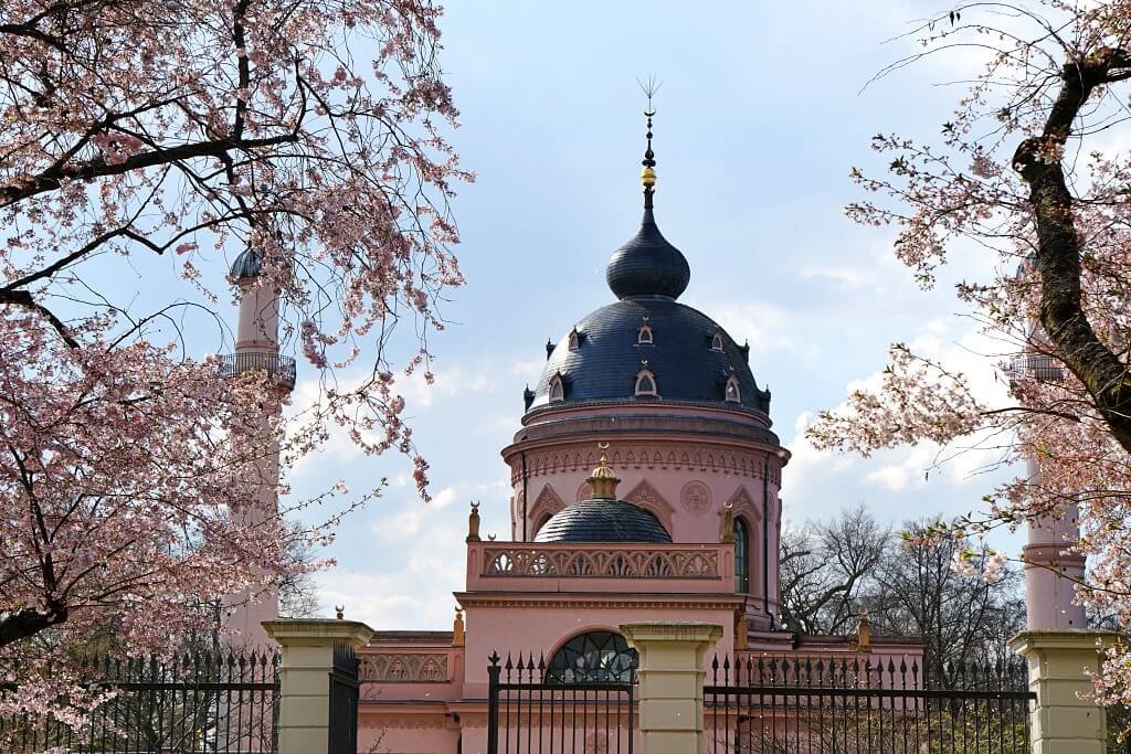 Kirschblüte Schloss Schwetzingen 2023 – unser Ausflugstipp im Frühling