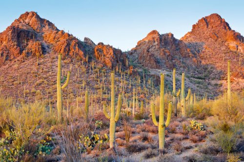 Escape Winter at These National Parks