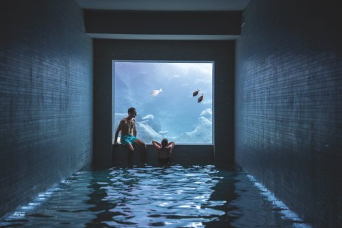 Man with a Plan - Robb Report Australia and New Zealand