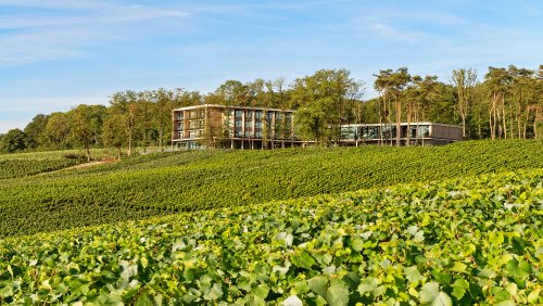 This New Spa Hotel Lets You Relax In The Heart Of France’s Champagne Region