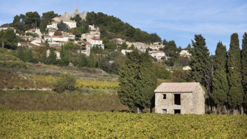 Everything You Need to Know About the Rhône, the Underrated Region Wine Insiders Love