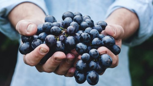 At This London Restaurant, a Server With ‘Gorgeous Hands’ Will Feed You Grapes
