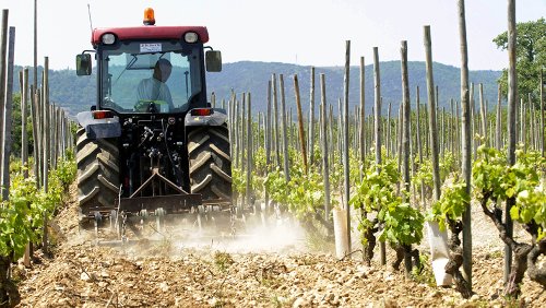 A Drought Is Wreaking Havoc On The French Wine Rebound Everyone Expected Flipboard