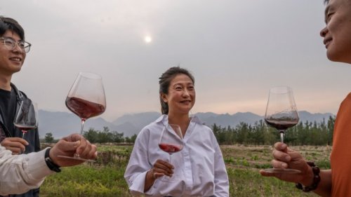 China’s Wine Has Gotten Really, Really Good