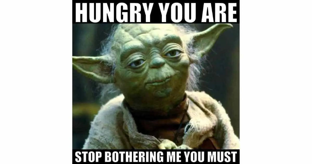 Hungry Memes – 20+ Funny Images For When You Need Food | Flipboard