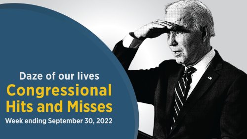 Daze of our lives — Congressional Hits and Misses