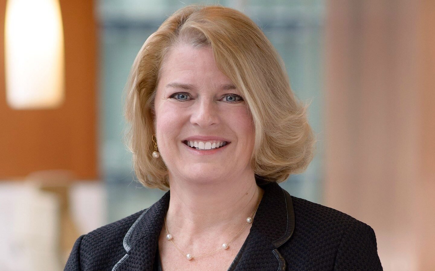 Melissa Bean likely heading back to Congress after Illinois primary win